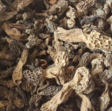 广元市羊肚菌_广元市羊肚菌批发网_羊肚菌批发价格 - 广元市山菇娘农副土特产品